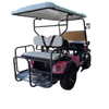 Fancy Golf Cart Offering Premium Features and Luxurious Experience